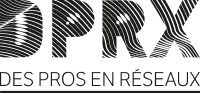 Logo DPRX DES PROS EN RÉSEAUX