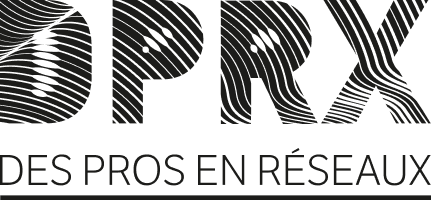 Logo DPRX Des Pros en RéseauX